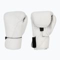 Mănuși de box Hayabusa T360 Leather white