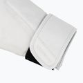 Mănuși de box Hayabusa T360 Leather white 6