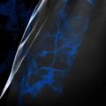 Pantaloni scurți de antrenament pentru bărbați Hayabusa X UFC BJJ Grappling blue 4