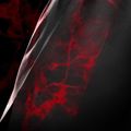Pantaloni scurți de antrenament pentru bărbați Hayabusa X UFC BJJ Grappling red 4