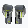 Mănuși de box Hayabusa T3 gri-galben T314G 2