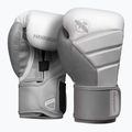 Mănuși de box Hayabusa T3 white/grey