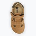 Sandale pentru copii Primigi PWN 79073 dark tan 5