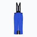 Pantaloni de schi pentru bărbați EA7 Emporio Armani Pure Protectum 7 new royal 6