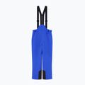Pantaloni de schi pentru bărbați EA7 Emporio Armani Pure Protectum 7 new royal 7