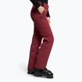 Pantaloni de schi pentru femei Dainese Hp Scree jam violet 3