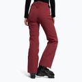 Pantaloni de schi pentru femei Dainese Hp Scree jam violet 4