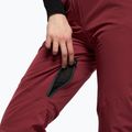 Pantaloni de schi pentru femei Dainese Hp Scree jam violet 6