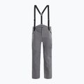Pantaloni de schi pentru bărbați Dainese Hp Ridge castle rock