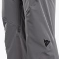Pantaloni de schi pentru bărbați Dainese Hp Ridge castle rock 3