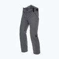 Pantaloni de schi pentru bărbați Dainese Hp Ridge castle rock 4