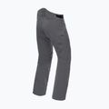 Pantaloni de schi pentru bărbați Dainese Hp Ridge castle rock 5