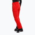 Pantaloni de schi pentru bărbați Dainese Ariante Dermizax Ev racing red 3