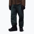 Pantaloni de schi pentru bărbați Oakley Baldface Pro Gore-Tex graphite