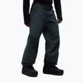 Pantaloni de schi pentru bărbați Oakley Baldface Pro Gore-Tex graphite 4