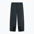 Pantaloni de schi pentru bărbați Oakley Baldface Pro Gore-Tex graphite 7