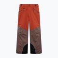 Pantaloni de schi pentru bărbați Oakley Canopy Pro Insulated Dark Umber/Flame Red 6