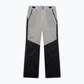 Pantaloni de schi pentru bărbați Oakley Canopy Pro Insulated Pitch Black/Cement 6