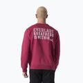 Hanorac pentru bărbați Everlast Neutrals Crewneck bordeaux 3