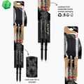 Bețe de trekking  Fizan Compact MS black 6