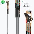 Bețe de nordic walking Fizan Carbon Pro Impulse grey 6