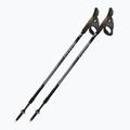 Bețe de nordic walking Fizan Speed black