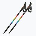 Bețe de nordic walking Fizan Speed Junior rainbow