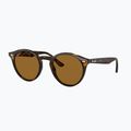 Ochelari de soare Ray-Ban RB2180 light havana/brown polarized 4
