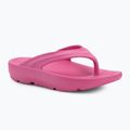 Papuci pentru femei Ellesse Aletha fuxia