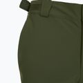 Pantaloni de schi pentru bărbați Fischer Premier rifle green 10