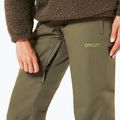 Pantaloni de schi pentru femei  Oakley Jasmine Insulated new dark brush 5