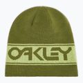 Căciulă de iarnă Oakley TNP Reversible fern/lt green