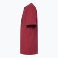 Tricou pentru bărbați Oakley Bark Ellipse Tee iron red 3