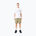 Tricou pentru bărbați Oakley Wired Mtn Scape Tee white