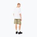 Tricou pentru bărbați Oakley Wired Mtn Scape Tee white 3