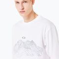 Tricou pentru bărbați Oakley Wired Mtn Scape Tee white 5