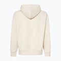Hanorac pentru bărbați Oakley MTL PO Hoodie mist 2