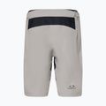 Pantaloni scurți de ciclism pentru bărbați Oakley Free Ride Lined cement 2