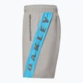 Pantaloni scurți pentru bărbați Oakley Training Sidepanel cement 3