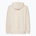 Hanorac pentru bărbați Oakley New Ellipse Hoodie Sweatshirt mist 2