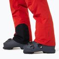 Pantaloni de schi pentru bărbați Oakley Canopy Pro Insulated flame red/rosewood 6