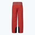 Pantaloni de schi pentru bărbați Oakley Canopy Pro Insulated flame red/rosewood 9