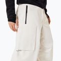 Pantaloni de snowboard pentru bărbați Oakley Channel Cargo mist 4