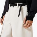 Pantaloni de snowboard pentru bărbați Oakley Channel Cargo mist 6