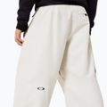 Pantaloni de snowboard pentru bărbați Oakley Channel Cargo mist 7