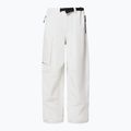 Pantaloni de snowboard pentru bărbați Oakley Channel Cargo mist 8