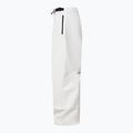 Pantaloni de snowboard pentru bărbați Oakley Channel Cargo mist 10