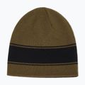 Căciulă de iarnă Oakley Tnp Reversible Beanie 68S army green 2