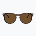 Ochelari de soare Ray-Ban RB2210 havana/brown polarized 2