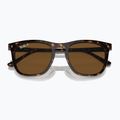 Ochelari de soare Ray-Ban RB2210 havana/brown polarized 3